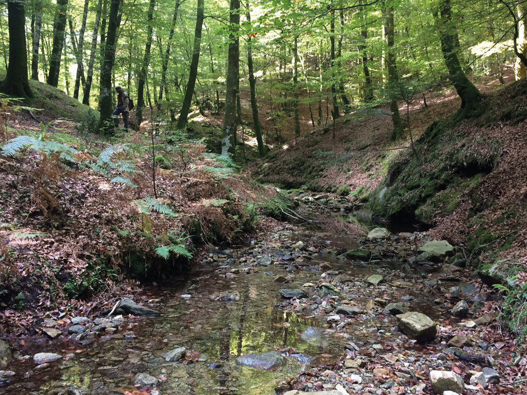 canolo passeggiata nei boschi